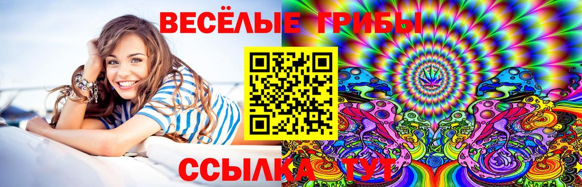 Галлюциногенные грибы прущие грибы  Вход с VPN  Кулебаки 