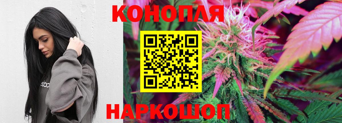Каннабис планчик Кулебаки